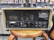 PEAVEY Classic 20 MH_2