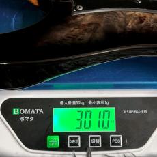 Ibanez AZ41P1PB-TGB (Transparent Gray Burst) -Premium Series- 【特価】_11