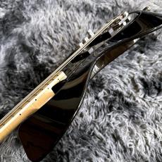 VOX Starstream Active Bass 2S Artist (VSBA-A2S-MBMB) 【特価】【日本製】_9