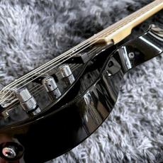 VOX Starstream Active Bass 2S Artist (VSBA-A2S-MBMB) 【特価】【日本製】_10