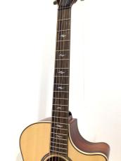 Taylor 814ce LTD Cocobolo_3