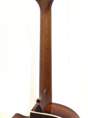 Taylor 814ce LTD Cocobolo_7