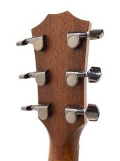 Taylor 814ce LTD Cocobolo_8
