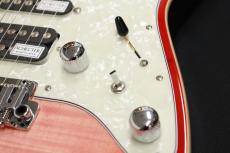 SCHECTER SD-2-24-AL-VTR-FM/RDSB/RM 【スポット生産モデル】_4