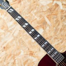 Epiphone Inspired by Gibson Custom Hummingbird Deluxe EC Autumn Burst_6
