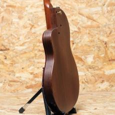 Rick Turner Renaissance RN-6_5