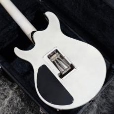 Caparison Angelus-ACE_7