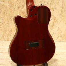 Godin Multiac Nylon Duet Ambiance 2019_2