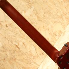 Godin Multiac Nylon Duet Ambiance 2019_7
