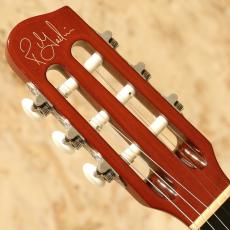 Godin Multiac Nylon Duet Ambiance 2019_8
