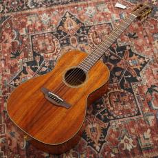 Takamine PTU431K N_2