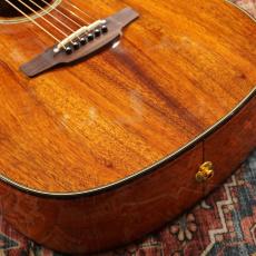 Takamine PTU431K N_3