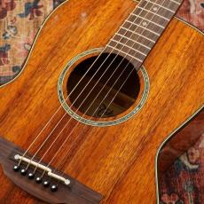 Takamine PTU431K N_4