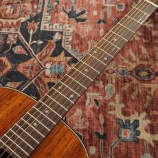 Takamine PTU431K N_5
