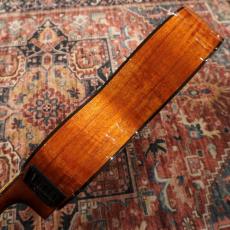 Takamine PTU431K N_9