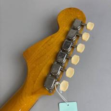 Fender MG65_8