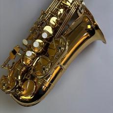 Antigua Altosax アルトサックス 【未調整特価】_4