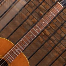 Gibson J-50 / 1967_7