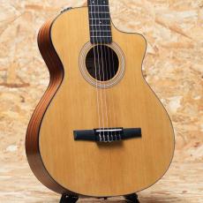 Taylor 112ce-N