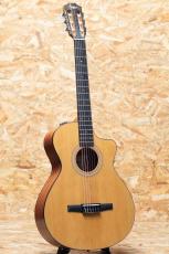 Taylor 112ce-N_3
