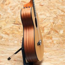 Taylor 112ce-N_4