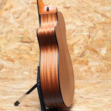 Taylor 112ce-N_5