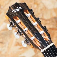 Taylor 112ce-N_8