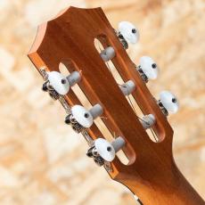 Taylor 112ce-N_9