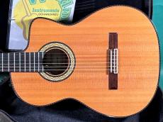 Takamine 300 CUSTOM_2