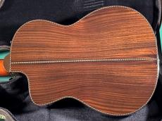 Takamine 300 CUSTOM_3