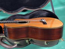 Takamine 300 CUSTOM_4