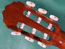 Takamine 300 CUSTOM_6