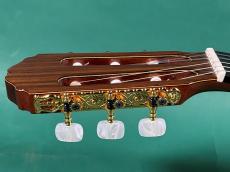 Takamine 300 CUSTOM_7