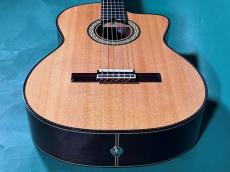 Takamine 300 CUSTOM_10