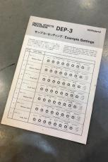 Roland DEP-3_10