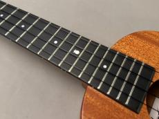 Millar CPA-E Concert【S/N 117】_6