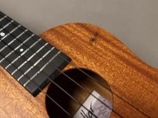Millar CPA-E Concert【S/N 117】_7