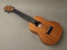 Millar CPA-E Concert【S/N 124】_2
