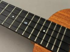 Millar CPA-E Concert【S/N 124】_7