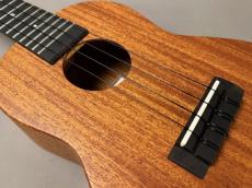 Millar CPA-E Concert【S/N 124】_8