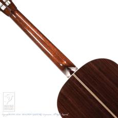 Collings DS-2 A Hill Country_6