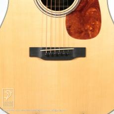 Collings DS-2 A Hill Country_10