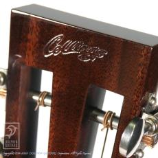 Collings DS-2 A Hill Country_13