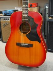 Famous W-65H