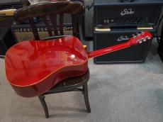 Famous W-65H_11