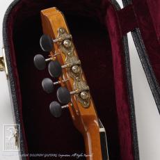 LESTER DEVOE Flamenco Negra (Nylon Strings)_7