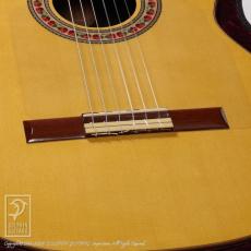 LESTER DEVOE Flamenco Negra (Nylon Strings)_11