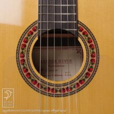 LESTER DEVOE Flamenco Negra (Nylon Strings)_12