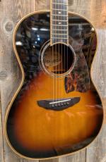 Terry's Casual No.7 山木康世モデル 2011年製 【USED】_2