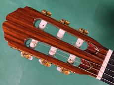 Takamine 300 CUSTOM_5